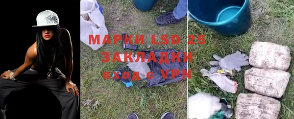 ПСИЛОЦИБИНОВЫЕ ГРИБЫ Волосово