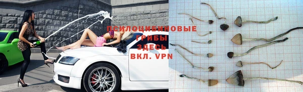 ПСИЛОЦИБИНОВЫЕ ГРИБЫ Волосово